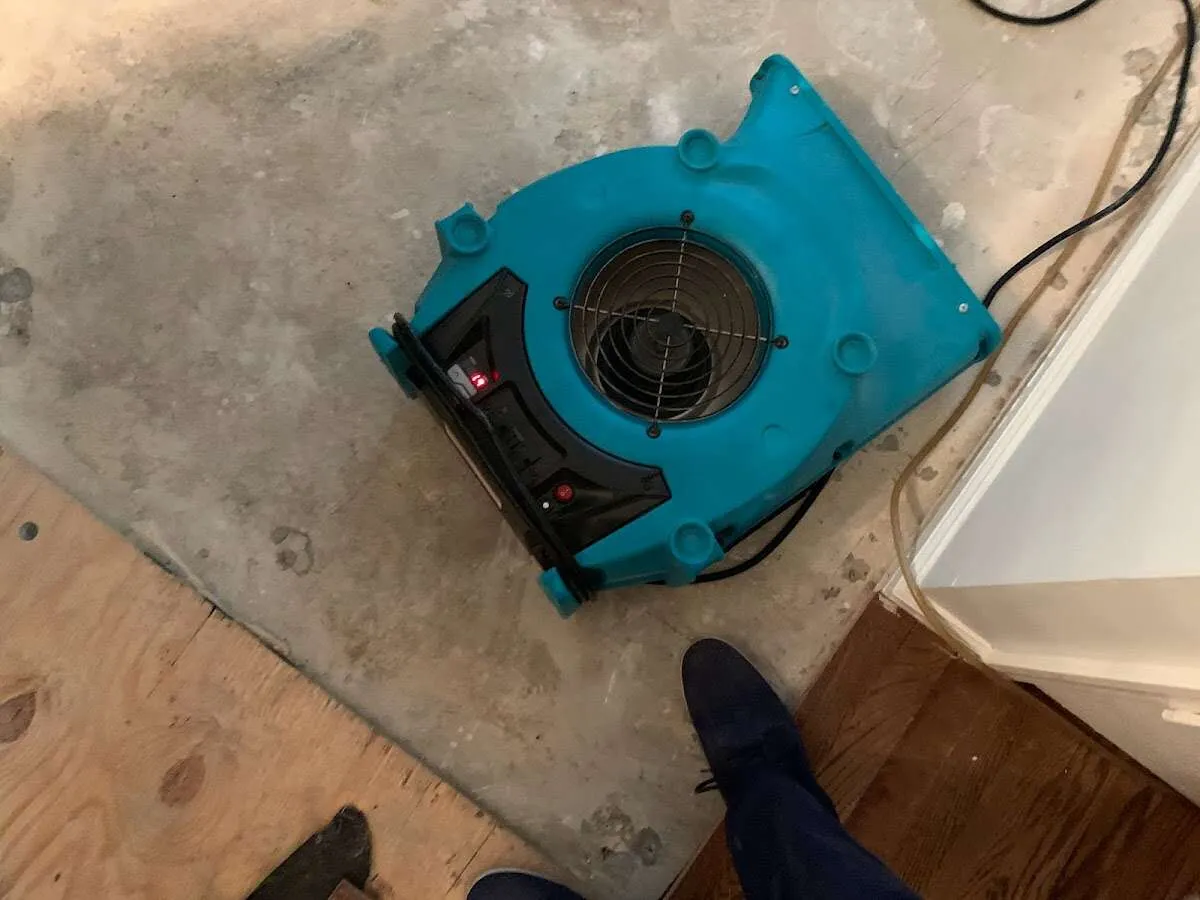 Air mover drying subfloor during Leak Detection & Repair in Horsham